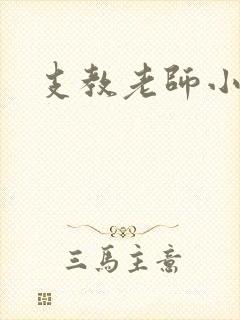 支教老师小说封面