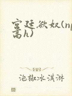 宫廷欲奴(np高h)