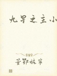 九星之主小说