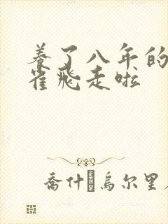 养了八年的金丝雀飞走啦