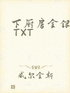 下厨房金银花露 TXT