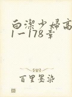 白洁少妇高义第1一178章
