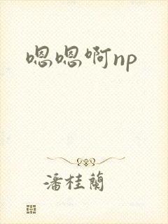 嗯嗯啊np