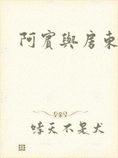 阿宾与房东太太封面