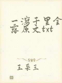 一泻千里金银花露原文txt封面