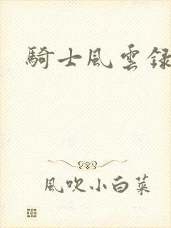 骑士风云录