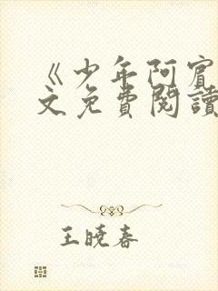 《少年阿宾》全文免费阅读封面