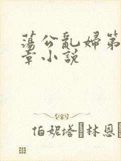 荡公乱妇第51章小说