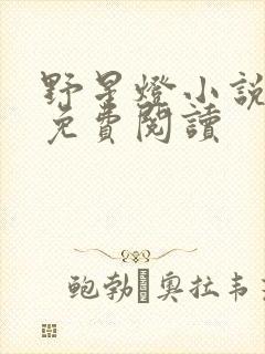 野星灯小说全文免费阅读