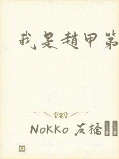 我是赵甲第小说