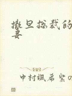 撒旦总裁的下堂妻封面