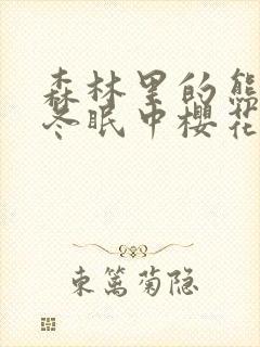 森林里的熊先生冬眠中樱花动漫