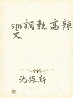 sm调教高辣h文