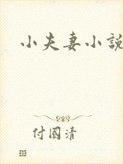 小夫妻小说