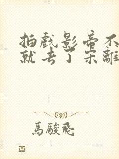 拍戏影帝不小心就去了宋离