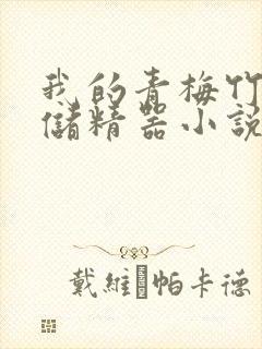 我的青梅竹马是储精器小说