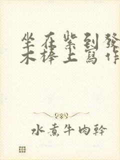 坐在紫到发黑的木棒上写作业