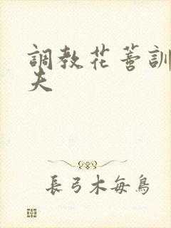 调教花蒂训诫从夫