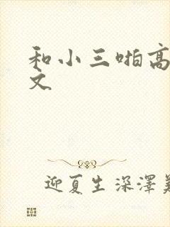 和小三啪高辣h文