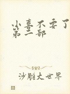 小喜不要了好大第二部封面
