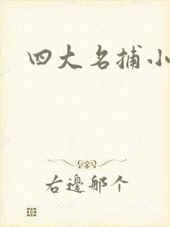 四大名捕小说