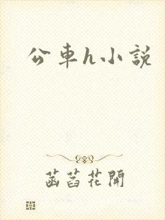 公车h小说