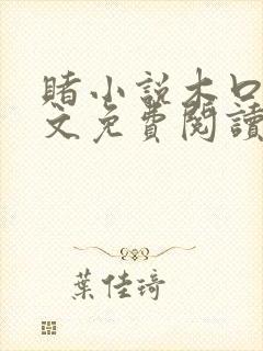 赌小说木口银全文免费阅读笔趣阁