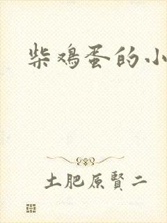 柴鸡蛋的小说封面