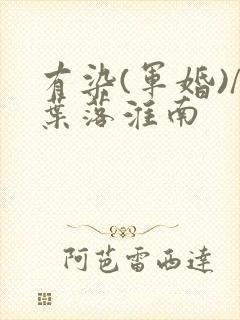 有染(军婚)/叶落淮南