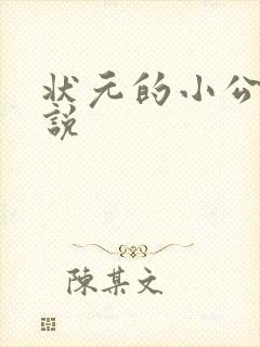 状元的小公主小说