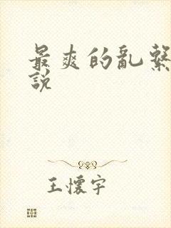 最爽的乱系列小说