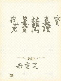 我是林喜宝小说免费阅读