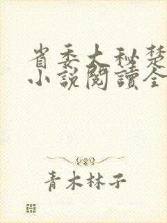 省委大秘楚东恒小说阅读全文