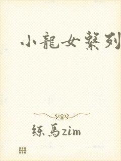 小龙女系列小说