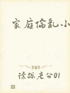 家庭伦乱小说