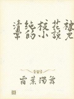 清纯校花被擒日常的小说免费阅读