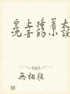 皇上撞着太子妃沈音的小说叫什么