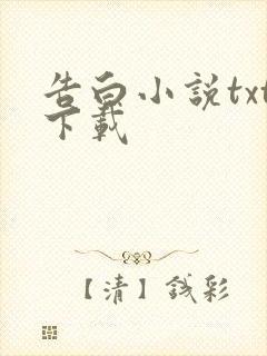 告白小说txt下载