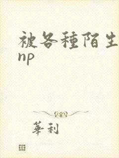 被各种陌生人 np