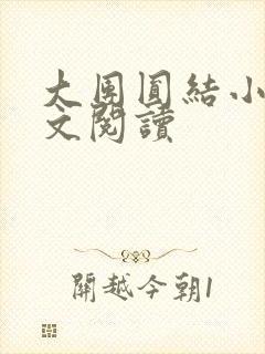 大团圆结小茹全文阅读