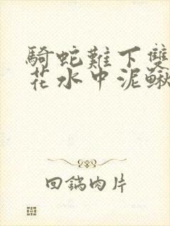 骑蛇难下双金银花水中泥鳅双男主