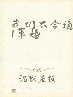 我们不合适1v1军婚