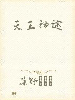 天王神途
