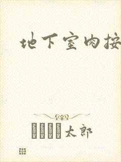 地下室肉按摩椅