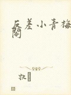 反差小青梅笔趣阁