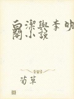 白洁与李明笔趣阁小说