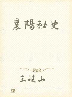 襄阳秘史