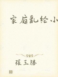 家庭乱纶小说封面