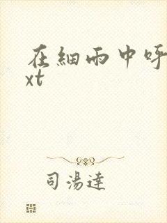 在细雨中呼喊txt