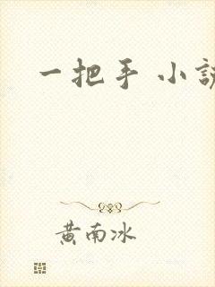 一把手 小说封面